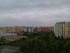 vyhled